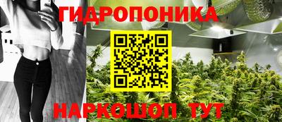 шишки Краснодар