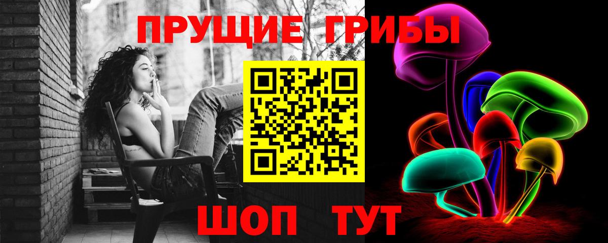Кисловодск  Псилоцибиновые грибы Psilocybe  Псилоцибиновые грибы Cubensis  Вход с VPN 