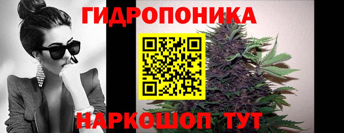Конопля Bruce Banner  Шишки марихуана семена  Канабис тримм  Кисловодск  Вход с VPN 